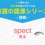 spect : 見る