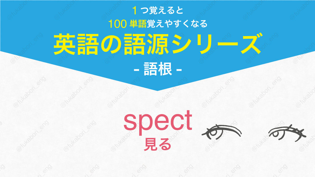 spect : 見る