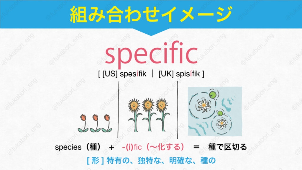 specific[ [US] spəsífik ｜ [UK] spisífik ]species（種）　+　-(i)fic（～化する）　＝　種で区切る
[形]特有の、独特な、明確な、種の