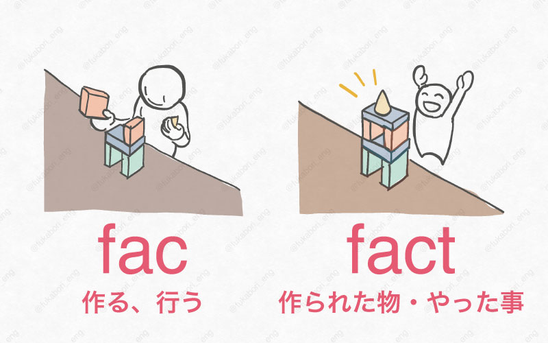 fac : 作る、行う。 fact : 作られた物、やった事。